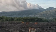 Badan Geologi Sampaikan Evaluasi Aktivitas Gunung Dukono, Apa yang Mesti Diwaspadai?