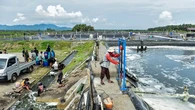 Mengulik Panen Perdana Tambak Udang Vaname Berbasis Climate Smart Shrimp di Desa Lalombi S...