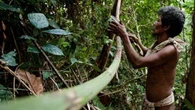 36.810 Ha Lahan Dialokasikan untuk Masyarakat Adat di Bukit Duabelas Jambi