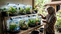 6 Ternak Hewan Mini Pakai Galon Bekas, Solusi Lahan Sempit dan Bisnis Rumahan
