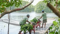 Menghijaukan Pesisi Pantai Ala BUMN