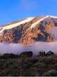 6 Fakta Menarik Gunung Kilimanjaro, Titik Tertinggi di Afrika dan Warisan Dunia UNESCO