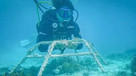 Aksi Nyata BRI Menanam - Grow & Green dalam Pelestarian Ekosistem Laut di Gili Matra