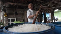 BERANI BERUBAH: Penyambung Hidup Bernama Kolang-Kaling