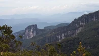 6 Fakta Menarik Bukit Batikap, Jantung Pulau Kalimantan Tempat Habitat Orangutan