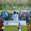 Konawe Selatan Target Produksi 150 Ribu Ton Kayu Gamal untuk Jadi Pengganti Batu Bara