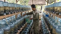 10 Jenis Ikan yang Bisa Hidup di Galon 19 Liter Tanpa Aerator, Cocok untuk Pemula dan Laha...