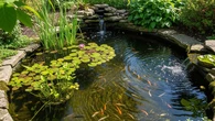 7 Ide Kolam Ikan Kecil di Halaman Sekaligus Pengendali Nyamuk Alami yang Estetik