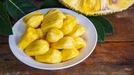 Menjelajahi Ragam Varian Kuliner dari Olahan Buah Nangka