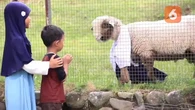 Serunya Berwisata di Edupark Mabda Islam Sukabumi: Beri Makan Satwa Lucu, Memanah, dan Ber...