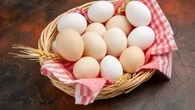 Ayam Bahagia Hasilkan Telur Fungsional, Pakar: Lebih Efektif Cegah Stunting