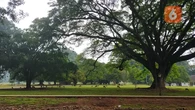 Sambut Imlek, Simak 6 Rekomendasi Wisata Bersama Keluarga di Bogor