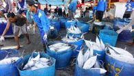 Sumber Daya Melimpah, Nilai Produksi Perikanan Laut RI Tembus Rp 132 Triliun
