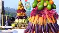 Merayakan Tradisi Wiwit Kopi yang Hidup Kembali