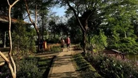 Kebun Bibit Wonorejo, Lahan Pembibitan Menuju Oase Hijau Rekreasi Kota Surabaya
