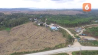 Kementerian PUPR Bakal Bangun Jalan Pertama di Ibu Kota Baru Usai Groundbreaking