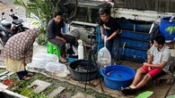 Bermula dari Hobi, Kisah Jurnalis yang Sukses Tekuni Bisnis Budidaya Ikan Koi