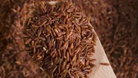 9 Mitos Menarik tentang Makan Beras Merah