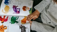 Jangan Asal Pilih, Hewan Lucu Ini Ternyata Tak Cocok Jadi Peliharaan Anak-Anak