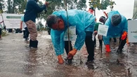 Aksi Penyelamatan 1.000 Hektare Lahan Mangrove Rusak di Konawe Utara