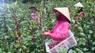 Bukit Asam (PTBA) Berdayakan Ibu Rumah Tangga untuk Dorong Kesejahteraan Masyarakat