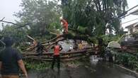 Hujan Deras dan Angin Kencang Terjang Bandar Lampung, Puluhan Pohon Tumbang dan Atap Rumah...