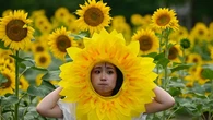 Tren Ruang Aman Perempuan yang Kian Berkembang di China