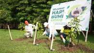 Langkah PT IMIP Jaga Bumi, Hadirkan Ruang Terbuka Hijau hingga Bangun Konservasi Mangrove