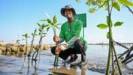 Nestlé MILO Tanam 15.000 Mangrove di Pantai Mangunharjo, Beri Energi Baik untuk Bumi!