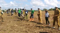 Bupati Sumba Tengah Yakin Tanam Jagung Perdana di Food Estate Bisa Tingkatkan Kesejahteraa...
