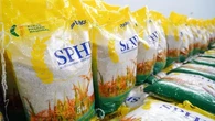 SPHP Bulog Jadi Andalan Pemerintah Tekan Lonjakan Harga Beras