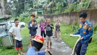 Damkar Sukabumi Evakuasi Dua Ular Sanca Kembang dalam Dua Hari yang Nyaris Memangsa Hewan ...