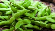 7 Sumber Protein Murah untuk Keluarga dari Pekarangan Rumah, Mulai dari Kelor hingga Kacan...