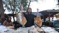 Banyuwangi Fish Market, Upaya Tingkatkan Konsumsi Makan Ikan