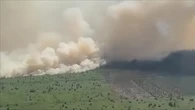 Karhutla di Riau: Puluhan Warga Ditahan, Perusahaan Masih Belum Tersentuh