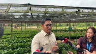 Jurus Kementan Atasi Gudang Bulog yang Penuh