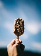 Ungkap Kepribadian dari Es Krim Favorit, Mulai dari Rasa Cokelat hingga Kopi