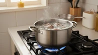 7 Cara Mengolah Air Rebusan Daging Pertama untuk Ternak Ayam sebagai Nutrisi Tambahan