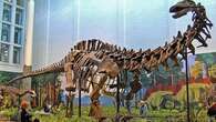 Ilmuwan Temukan Fosil Sauropoda Baru di Argentina, Seperti Apa Bentuknya?