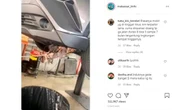 Keluarga Tikus Bersarang di Bumper Mobil, Proses Membersihkannya Bikin Merinding