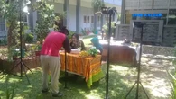 Bubbor Paddas, Warisan Gurih Pedas dari Dapur Melayu Menyatukan Rasa Nusantara