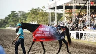 Kuda King Argentin Raih Gelar Triple Crown Indonesia, Akhiri Penantian Selama 20 Tahun