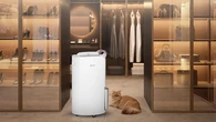 Tips Memilih Dehumidifier untuk Cegah Jamur, Bau Apek, dan Udara Lembap yang Ganggu Keseha...