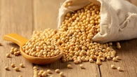 Tak Hanya Tahu dan Tempe, Ini Fakta Lengkap Seputar Kedelai untuk Kesehatan