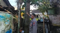 Cinta Tak Direstui, Pemuda di Jember Gantung Diri di Pohon Mangga
