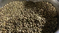 Lewat KUR BRI, Nalara Coffee Sukses Pasarkan Kopi Ramah Lingkungan dan Laris hingga Luar P...