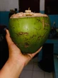 Manfaat Minum Air Kelapa di Masa COVID-19, Apa Bisa Jaga Daya Tahan Tubuh?