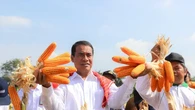 Indonesia Siap Ekspor 27 Ribu Ton Jagung pada Juni 2025