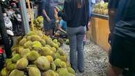 Sensasi Berburu Durian di Kota Gorontalo, Yuk Pilih Ragam Variannya