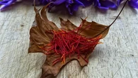 Mengulik Saffron, Bumbu Dapur Termahal di Dunia yang Punya Khasiat Unik